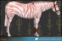 Horse Color:Silver Classic Champagne Dun Splash Frame