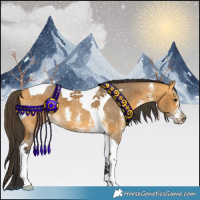 Horse Color:Buckskin Sabino Tobiano 