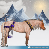 Horse Color:Painted Silver Bay Roan 