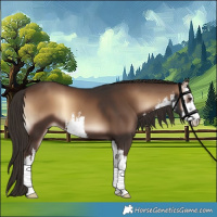 Horse Color:White Spotted Liver Red Onyx 