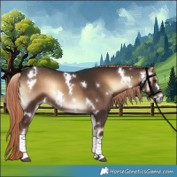 Horse Color:White Spotted Liver Red Onyx Tobiano Rabicano 
