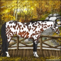 Horse Color:Brown Mushroom Near Leopard 