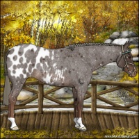 Horse Color:Liver Red Roan Mushroom Blanket 