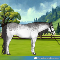 Horse Color:White Spotted Smoky Black 