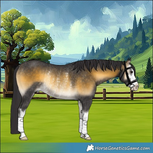 Horse Color:White Spotted Buckskin Onyx Rabicano 