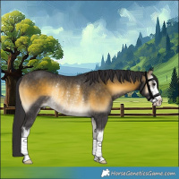 Horse Color:White Spotted Buckskin Onyx Rabicano 