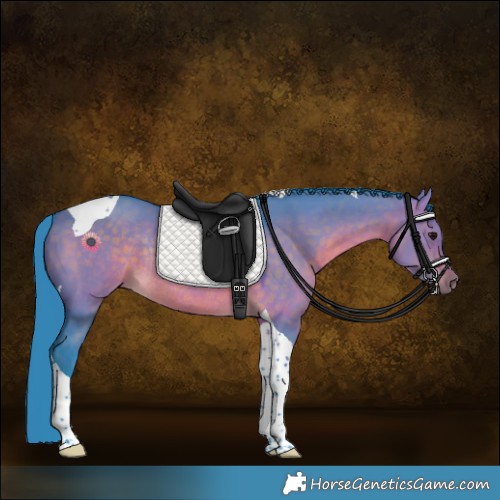 Horse Color:Watercolor Brown Dun Tobiano Rabicano 