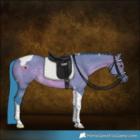 Horse Color:Watercolor Brown Dun Tobiano Rabicano 