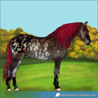 Horse Color:Void Painted Brown Onyx Appaloosa Rabicano 