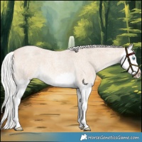 Horse Color:Silver Perlino Roan Splash