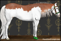 Horse Color:Silver Bay Roan Splash 