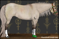 Horse Color:Silver Brown Roan Dun 