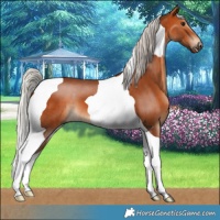 Horse Color:Silver Bay Tobiano 
