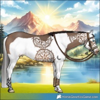Horse Color:Brown Dun Splash Frame