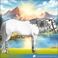 Horse Color:Black Splash Tobiano