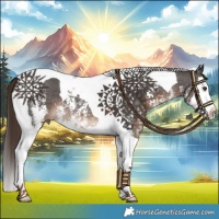 Horse Color:Liver Chestnut Sabino Splash Tobiano
