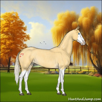 Horse Color:Palomino Roan Splash
