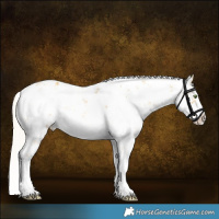 Horse Color:White Spotted Silver Amber Cream Champagne Sabino Splash Frame Appaloosa 