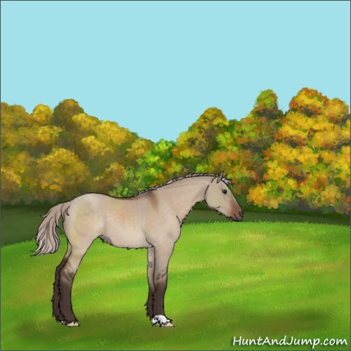 Horse Color:Silver Brown Roan Dun Rabicano 