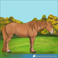 Horse Color:Chestnut Frame 