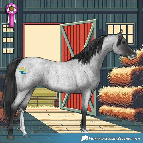 Horse Color:Blue Roan Sabino 