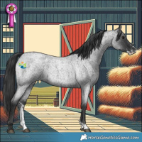 Horse Color:Blue Roan Sabino