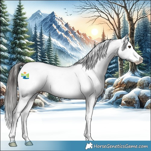 Horse Color:White Spotted Liver Chestnut Appaloosa 