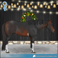 Horse Color:Bay Tobiano 