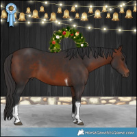 Horse Color:Bay Tobiano 