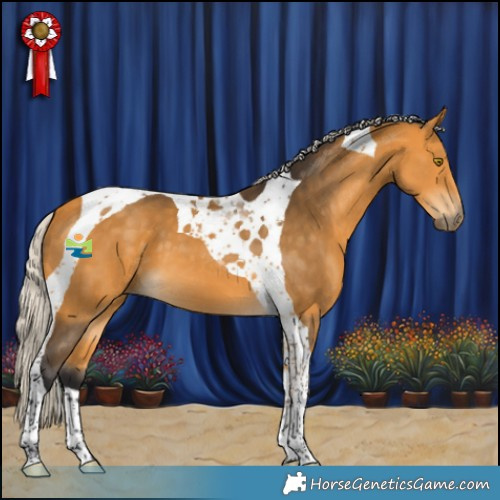 Horse Color:Silver Buckskin Tobiano 