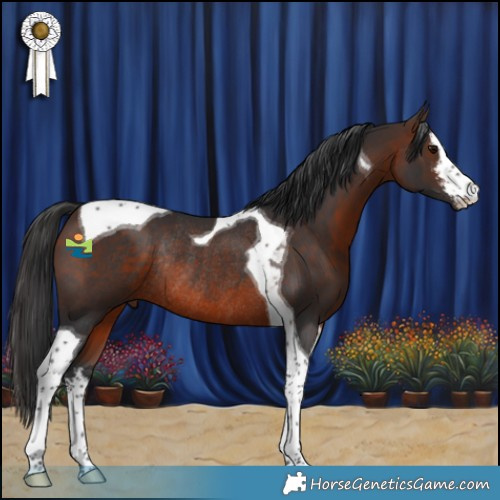 Horse Color:White Spotted Brown Tobiano Rabicano 