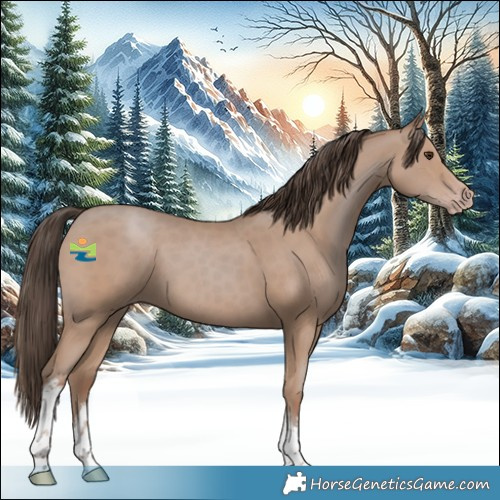 Horse Color:White Spotted Classic Champagne 