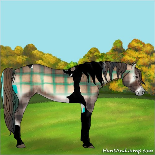 Horse Color:Plaid  Brown Onyx Tobiano 
