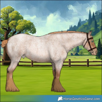Horse Color:Liver Red Roan Pearl 