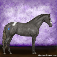 Horse Color:Smoky Black Varnish Rabicano 