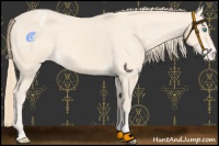 Horse Color:Perlino Varnish  and Perlino Varnish 