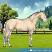 Horse Color:Silver Buckskin Roan Splash 