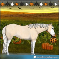 Horse Color:Silver Buckskin Roan Splash 