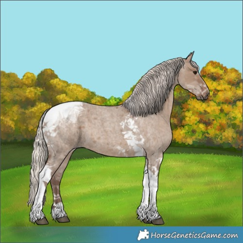 Horse Color:Silver Grullo Roan Tobiano 