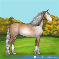 Horse Color:Gray Silver Amber Champagne 