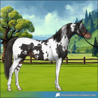 Horse Color:White Spotted Liver Chestnut Tobiano 