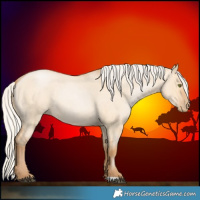 Horse Color:Silver Bay Roan Pearl Dun 
