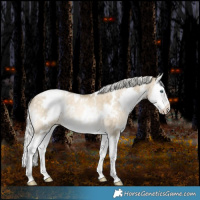 Horse Color:White Spotted Silver Brown Snowdrop Pearl Dun Splash 