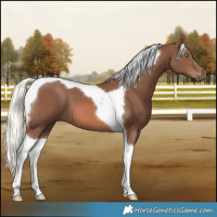 Horse Color:Chestnut Mushroom Tobiano 