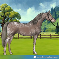 Horse Color:Liver Chestnut Ice Mushroom 