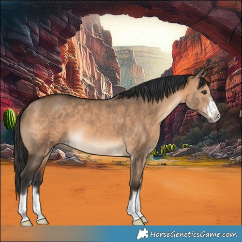 Horse Color:Brown Dun