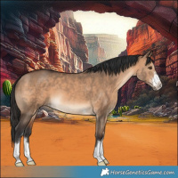 Horse Color:Brown Dun