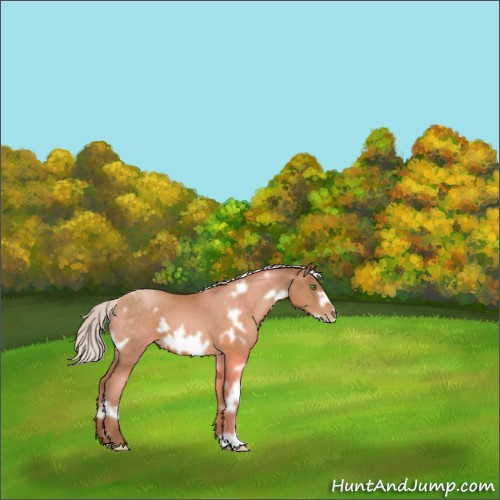Horse Color:White Spotted Silver Brown Pearl Frame 