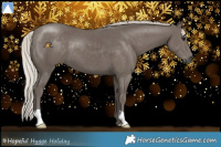 Horse Color:Silver Black 