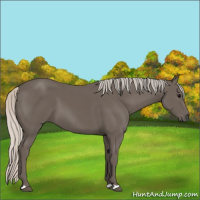 Horse Color:Silver Black 